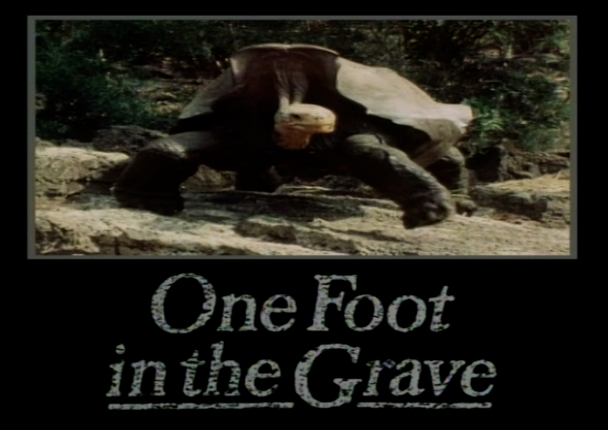 One Foot In The Grave Hedgehog Slipper